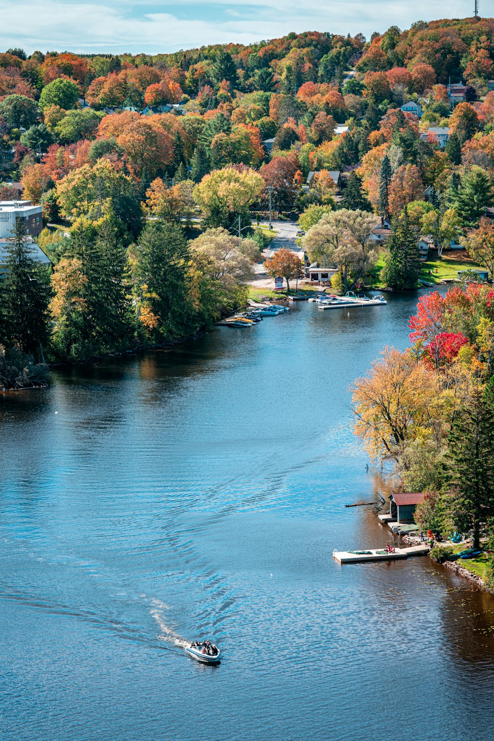 speedboat in body of water between trees