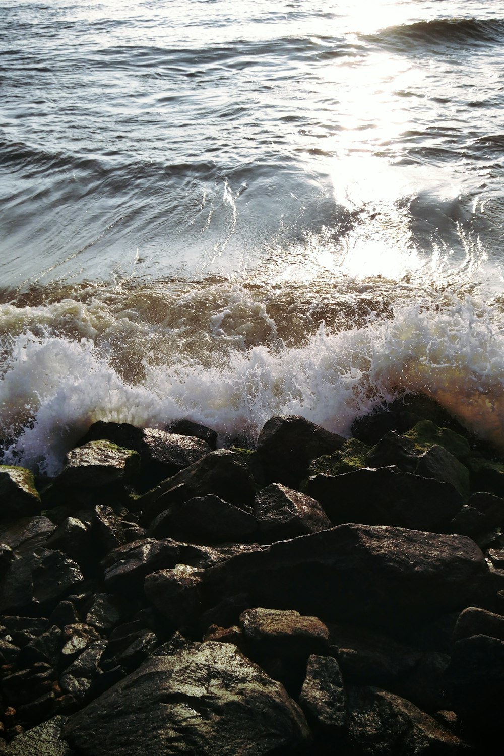 body of water during daytime