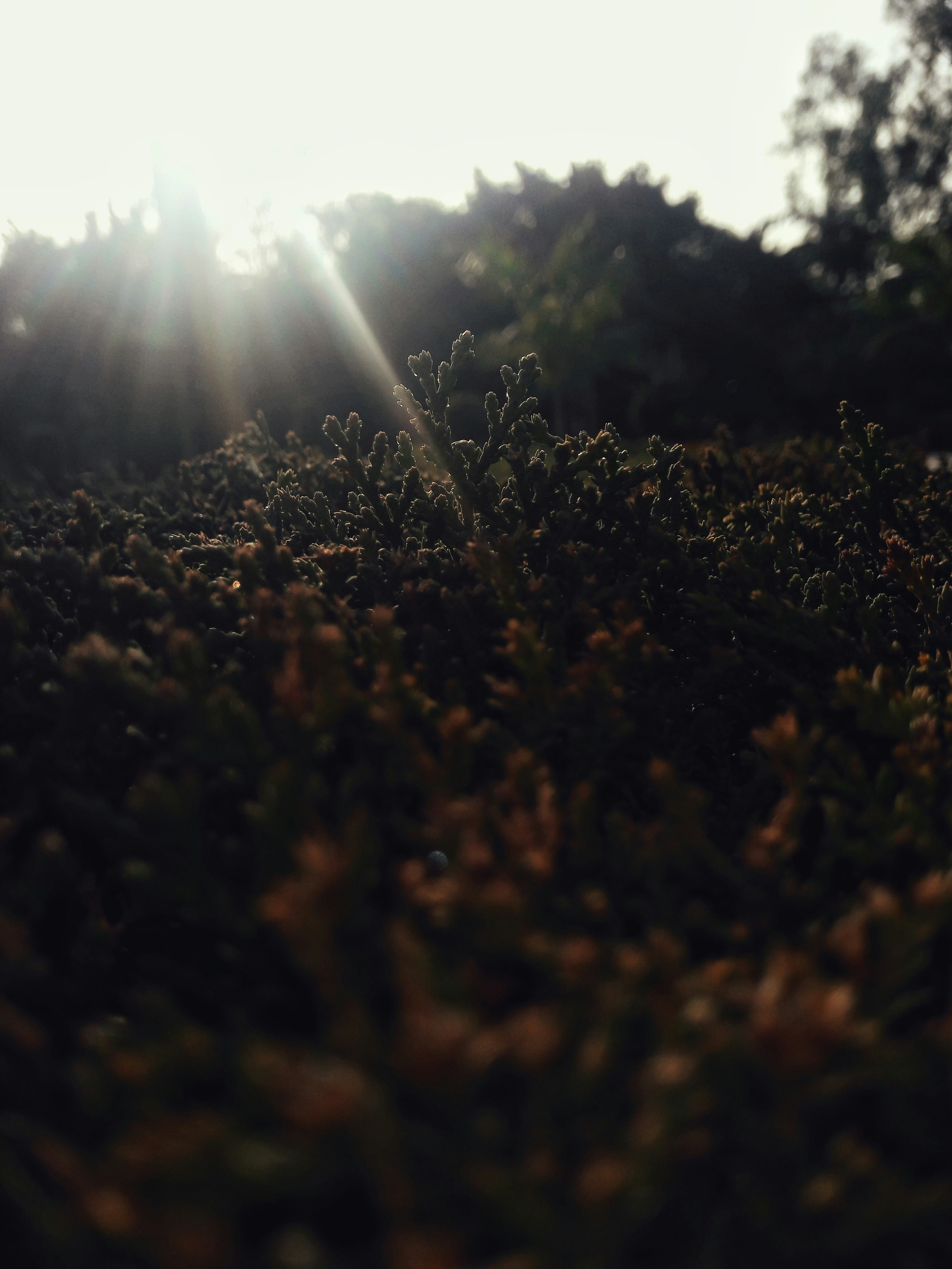 Photo by shahzad_118