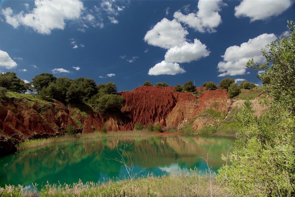 body of water surrounded with trees during daytime