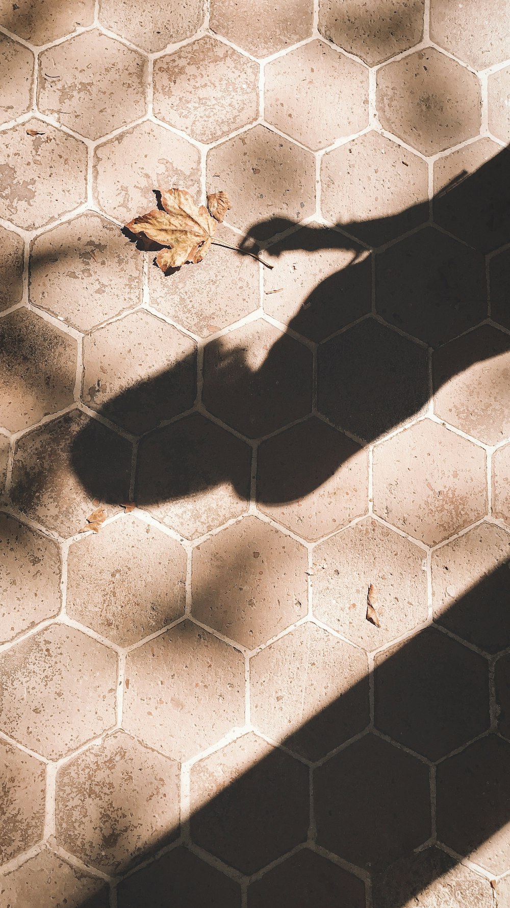 brown leaf on brick pathway