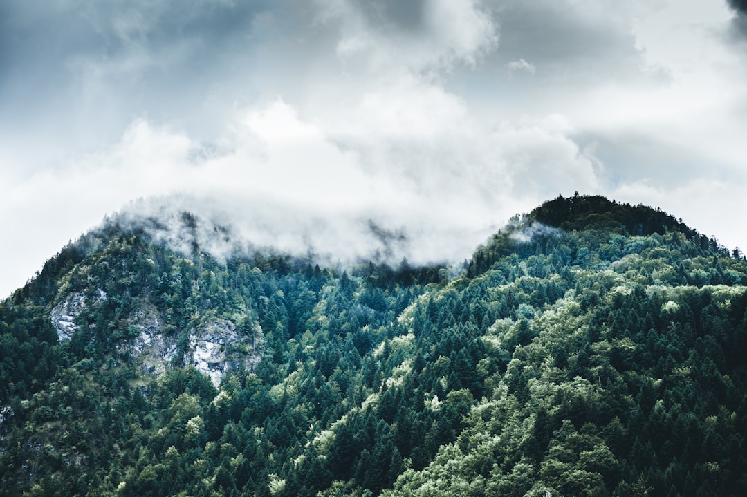 Forest photo spot Thônes Annecy