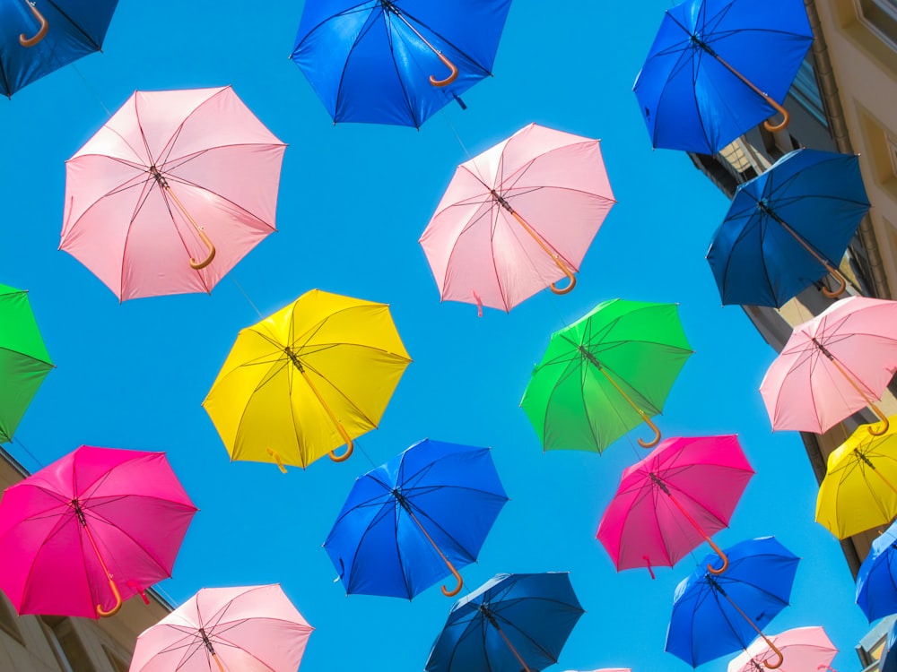 assorted-color umbrella