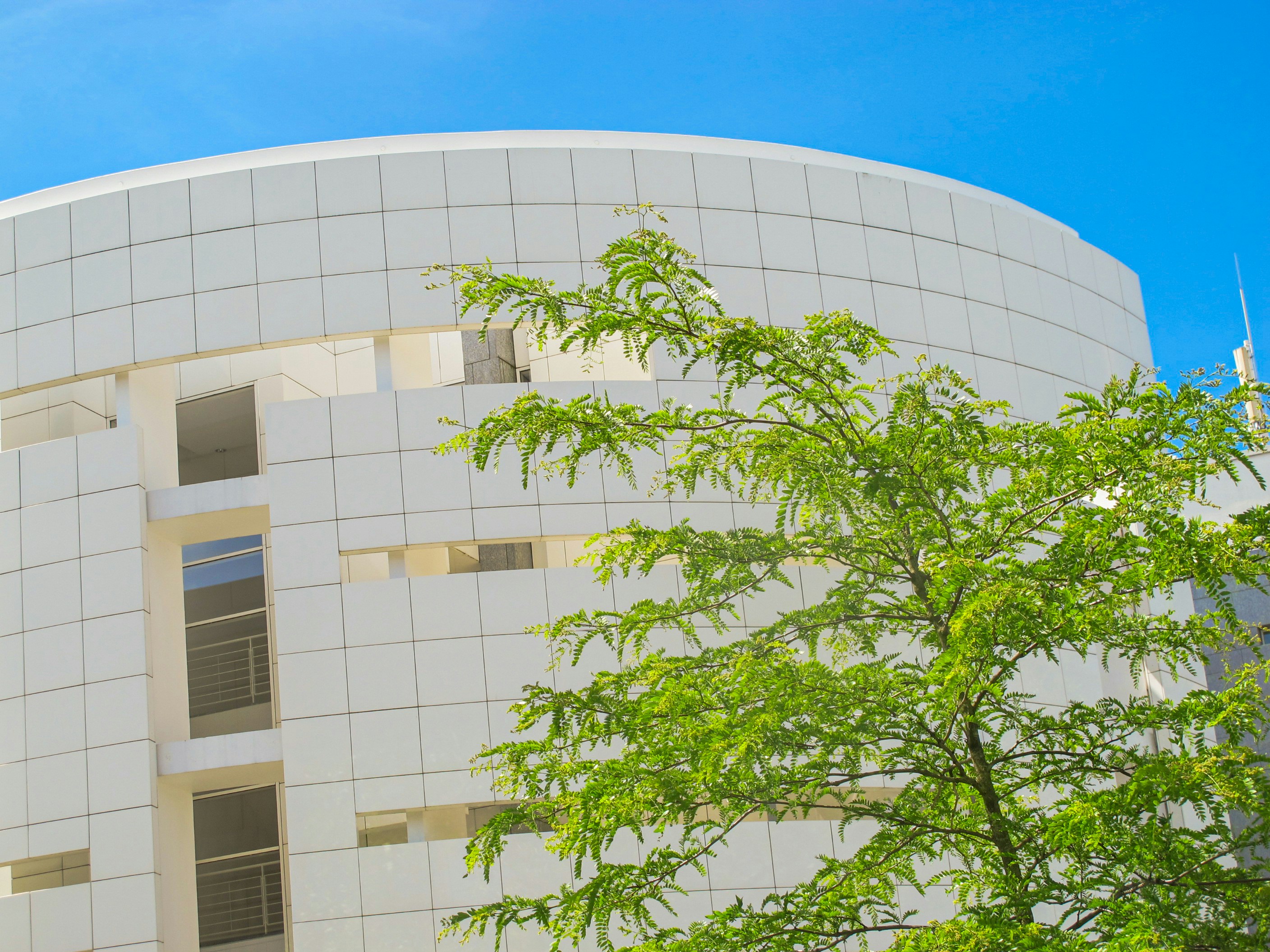 Photo by jonasmorgner