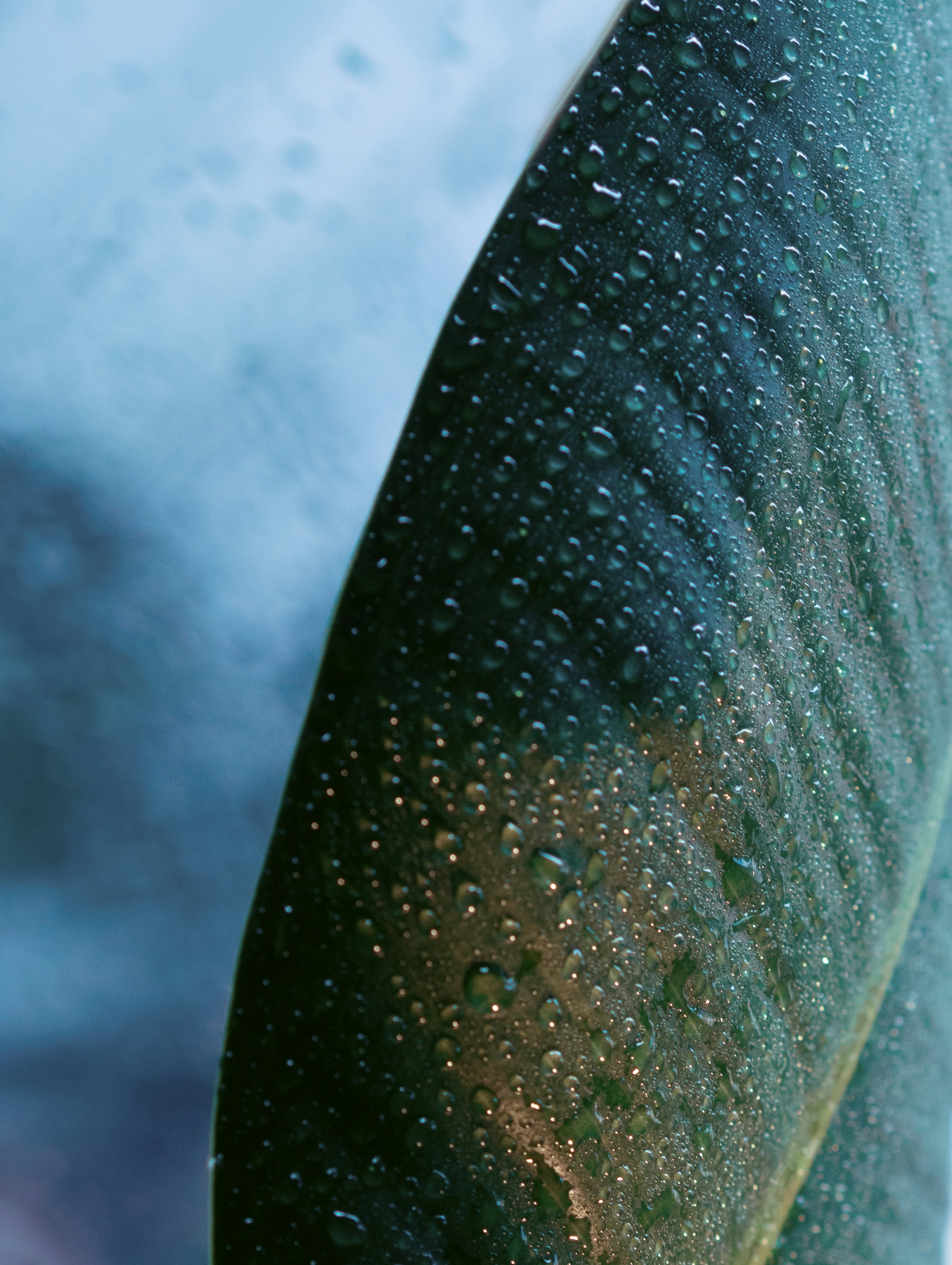 Photo by irae_fotografi