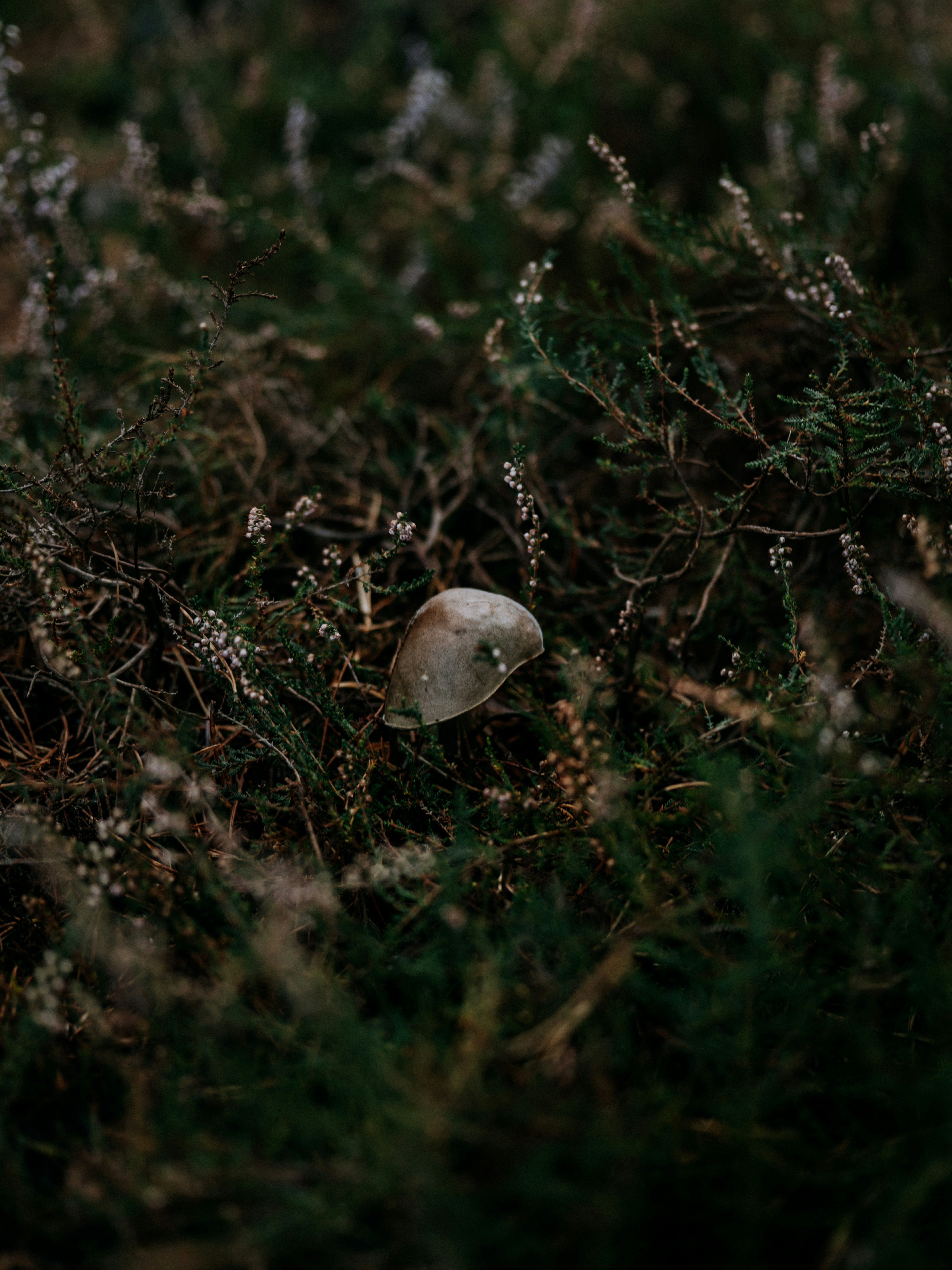 Photo by anniespratt