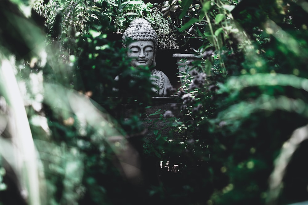 Buddha statue surrounded by green trees