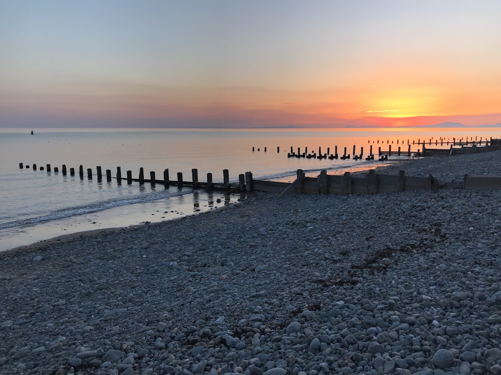 brown wooden fence on seashore