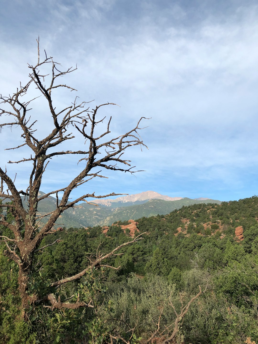 travelers stories about Mountain in Garden of the Gods Park, United States