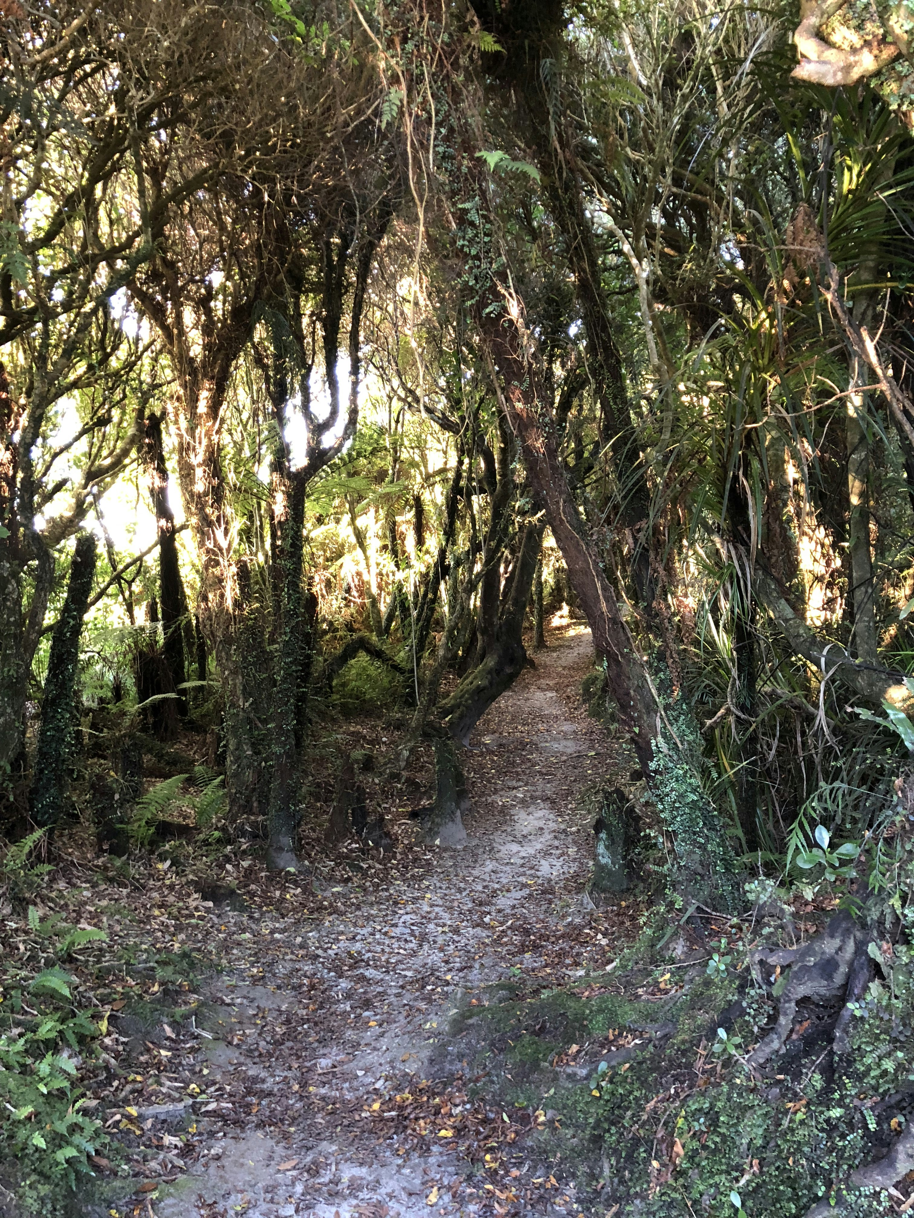 Photo by pierrehenry