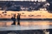 men walking on shore