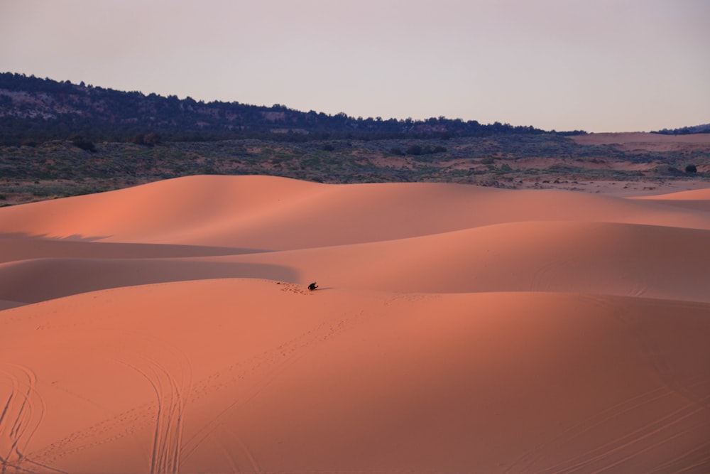 deserto marrone e terra verde sotto un cielo bianco