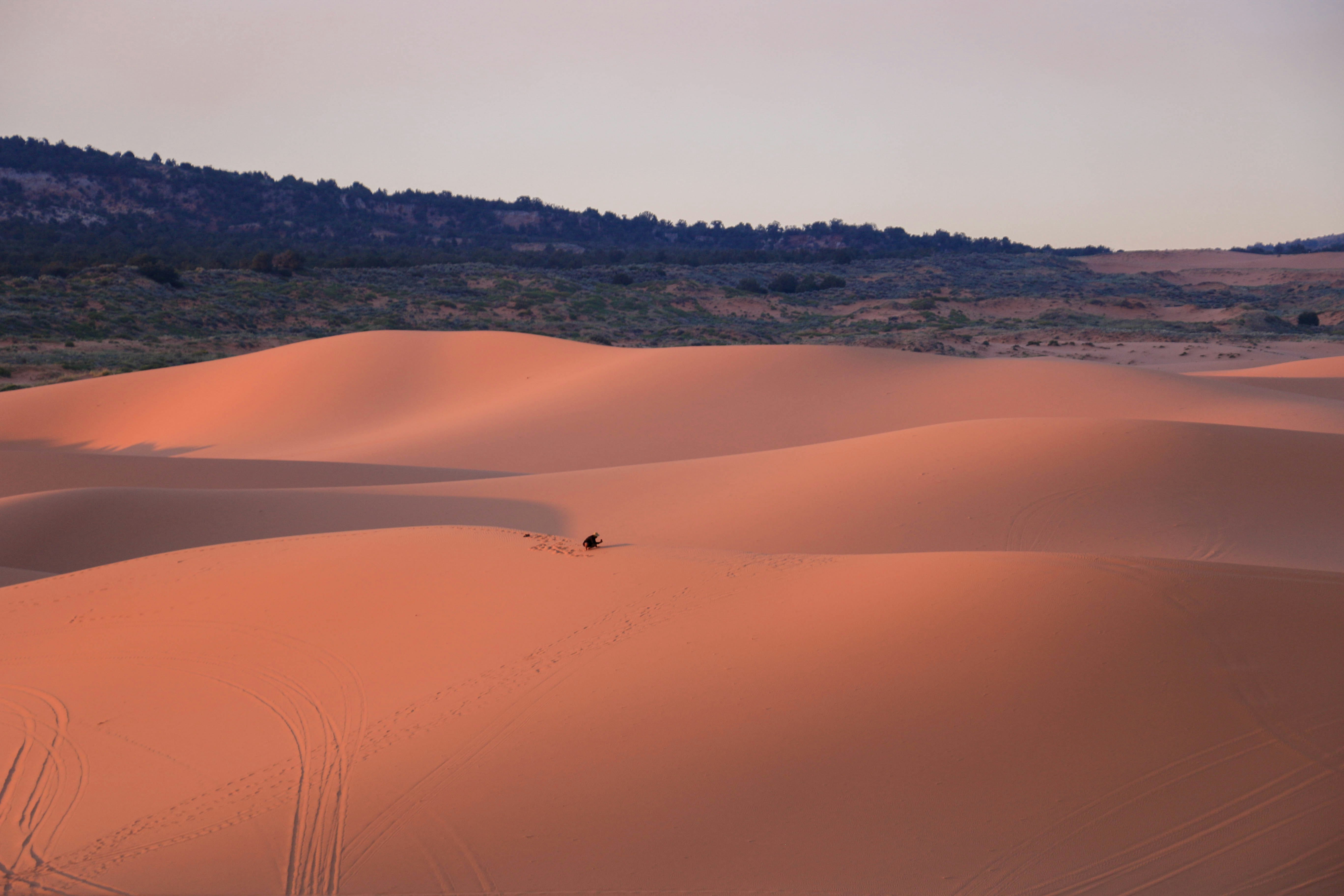 brown desert and green land under a white sky