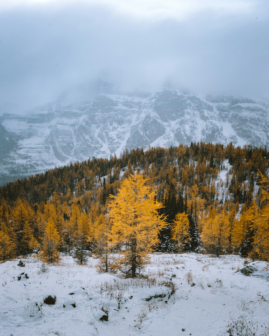 Mountain photo spot Improvement District No. 9 Emerald Lake