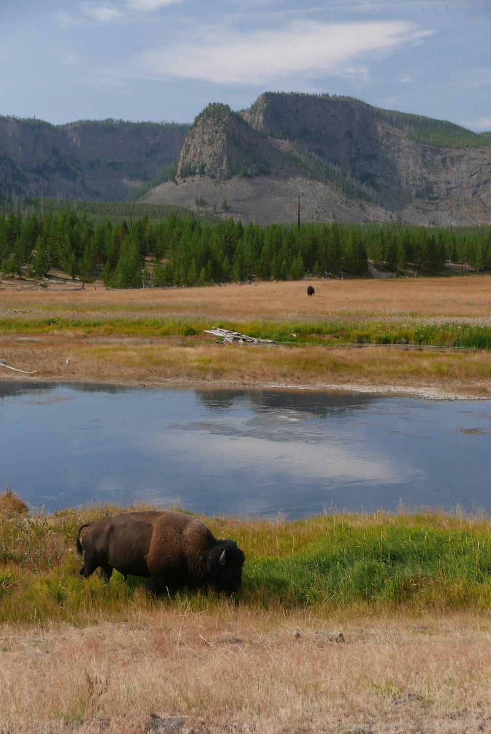 body of water, trees, and mountain