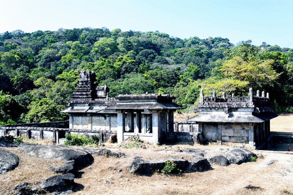 buildings near tree