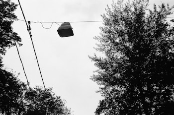 A black and white image featuring a television set suspended in the air by electrical wires. Surrounding the scene are the silhouetted outlines of tree foliage against a cloudy sky.