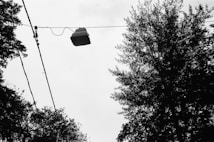A black and white image featuring a television set suspended in the air by electrical wires. Surrounding the scene are the silhouetted outlines of tree foliage against a cloudy sky.
