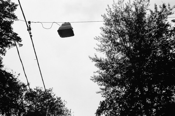 A black and white image featuring a television set suspended in the air by electrical wires. Surrounding the scene are the silhouetted outlines of tree foliage against a cloudy sky.