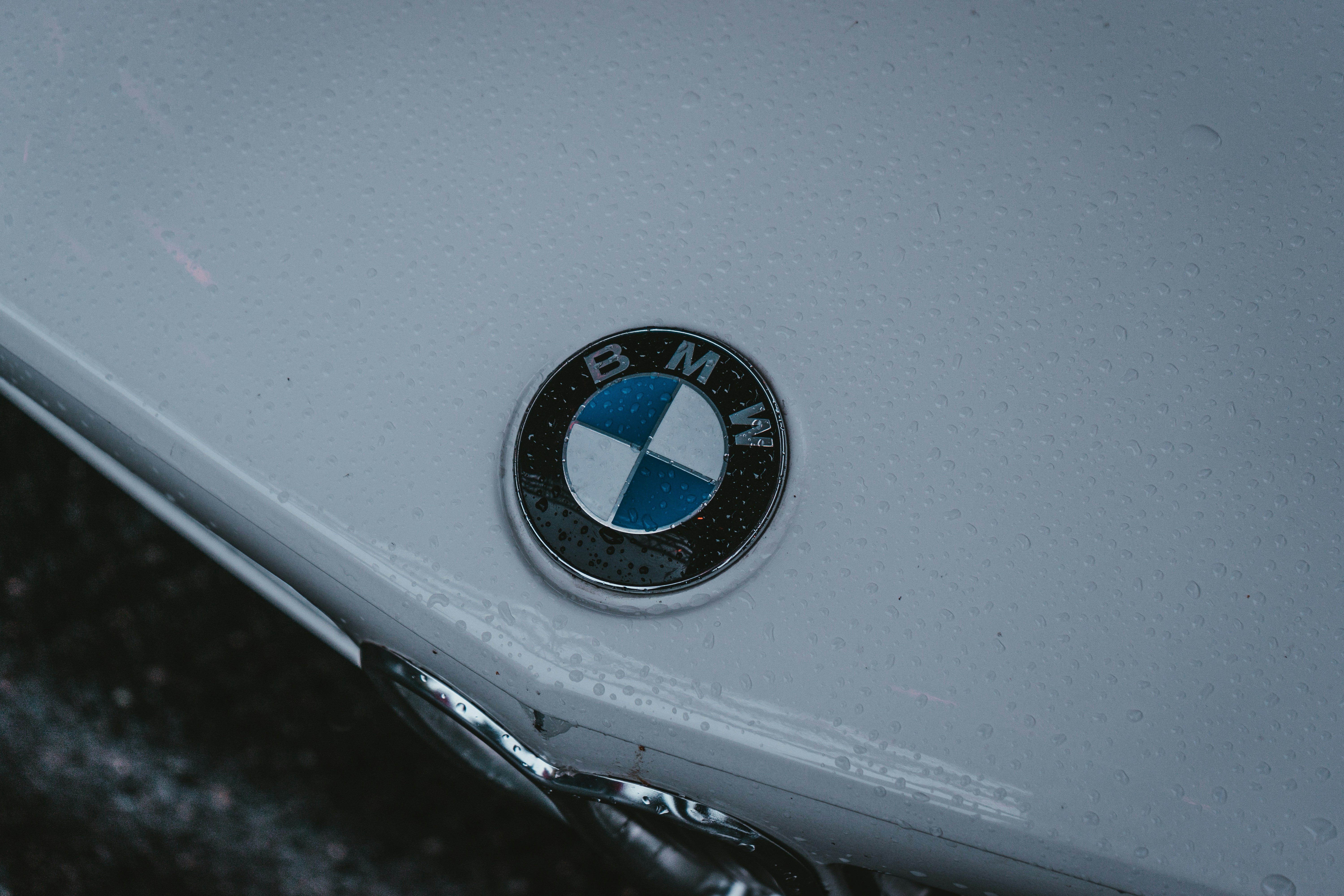 BMW logo