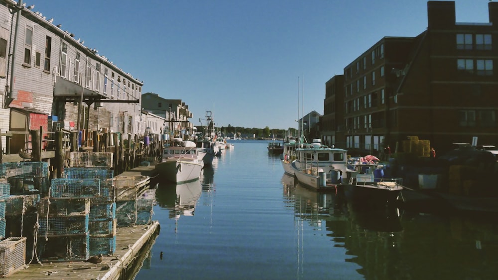 boats in body of water between buildings