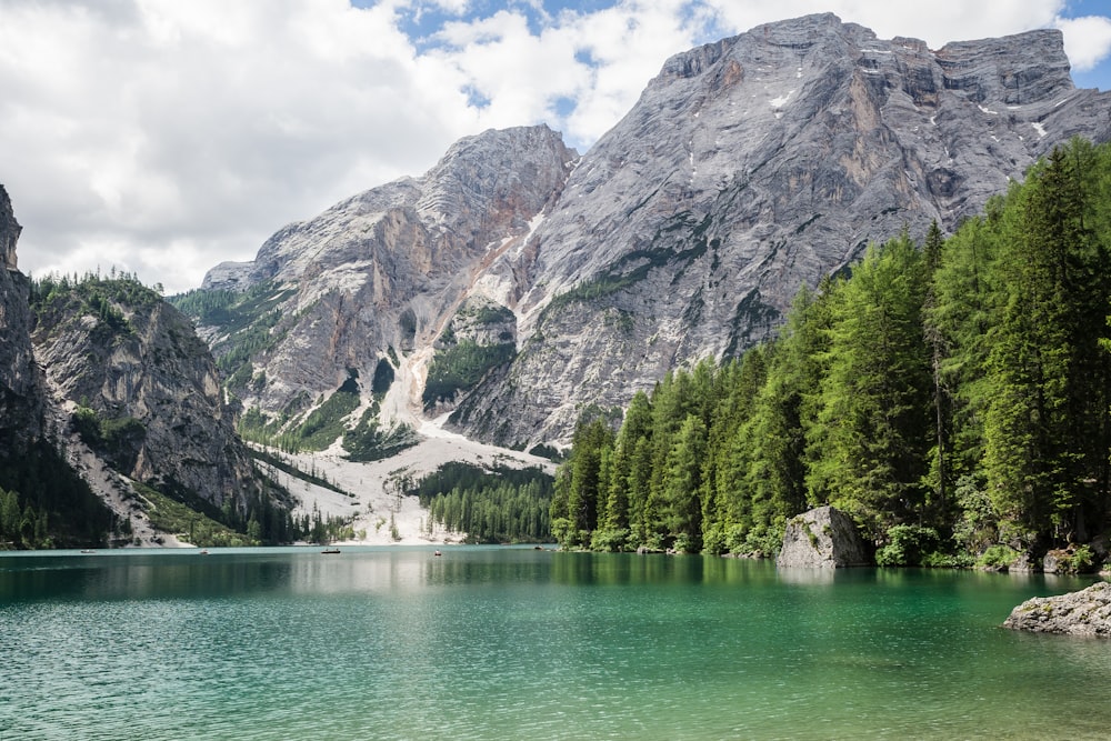 lake and trees