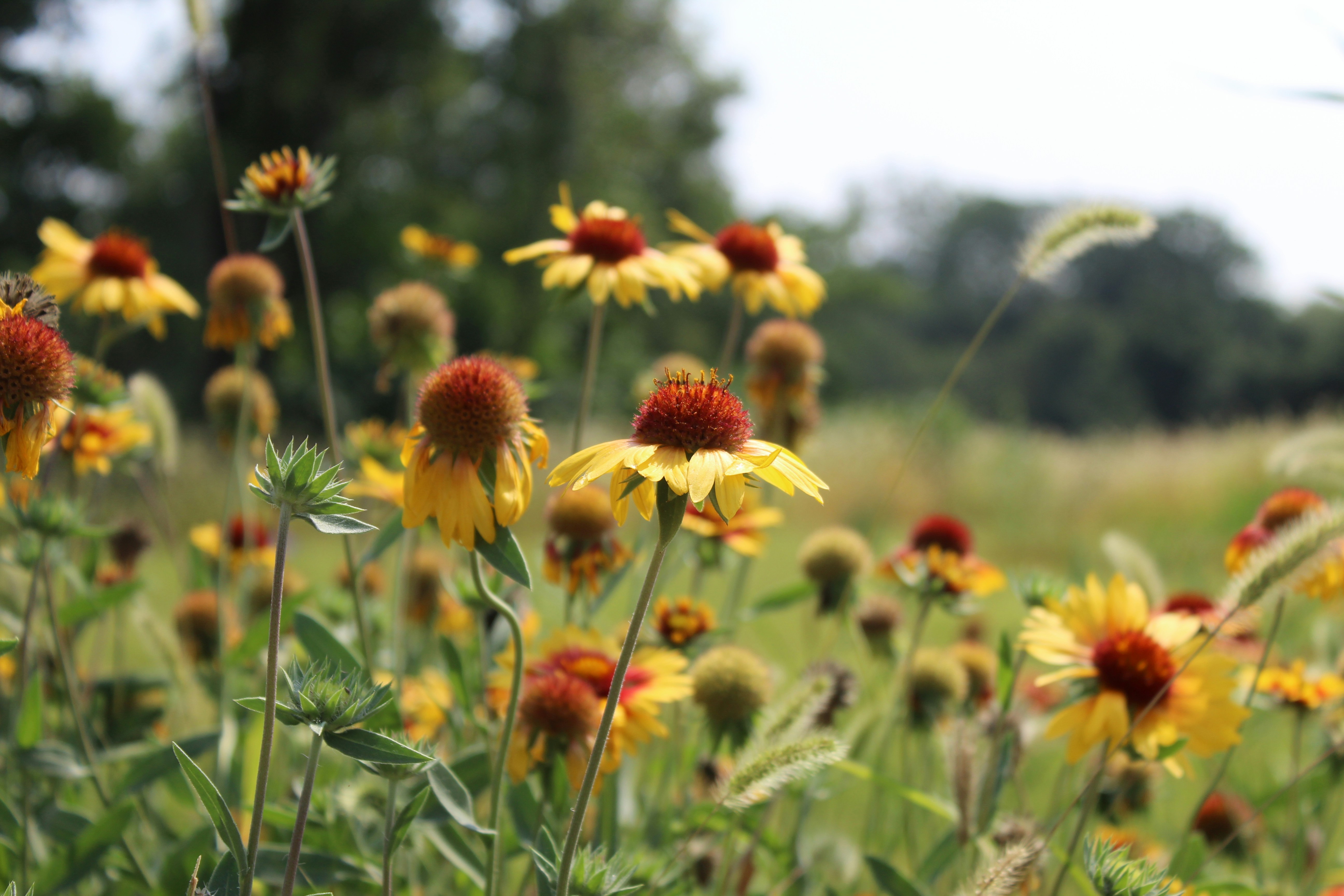 Photo by sophiewrixon