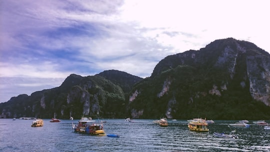 boats on body of water in Ko Phi Phi Lee Thailand