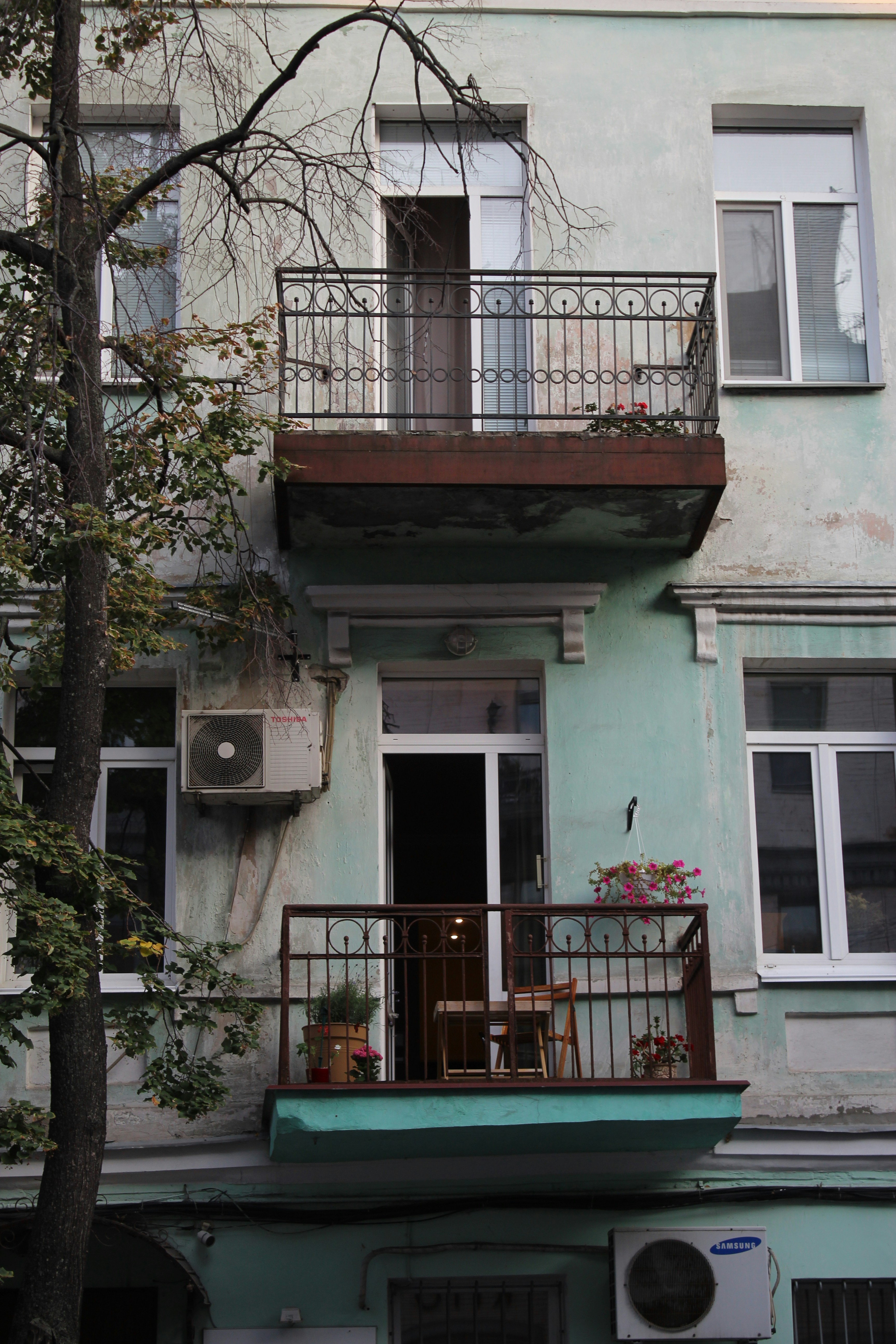 gray concrete building beside tree