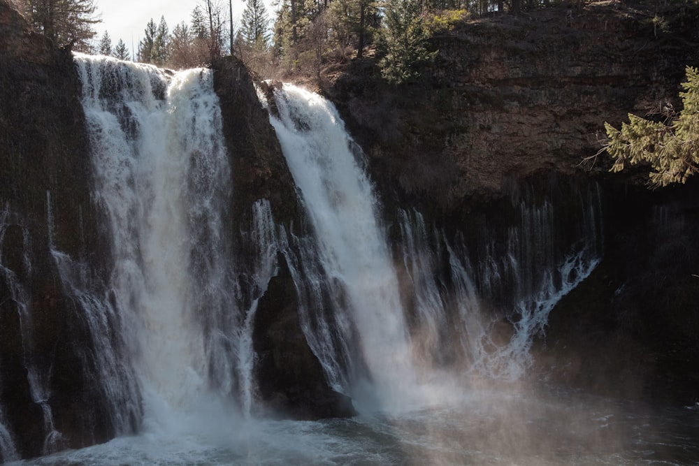 chutes d’eau près des arbres pendant la journée