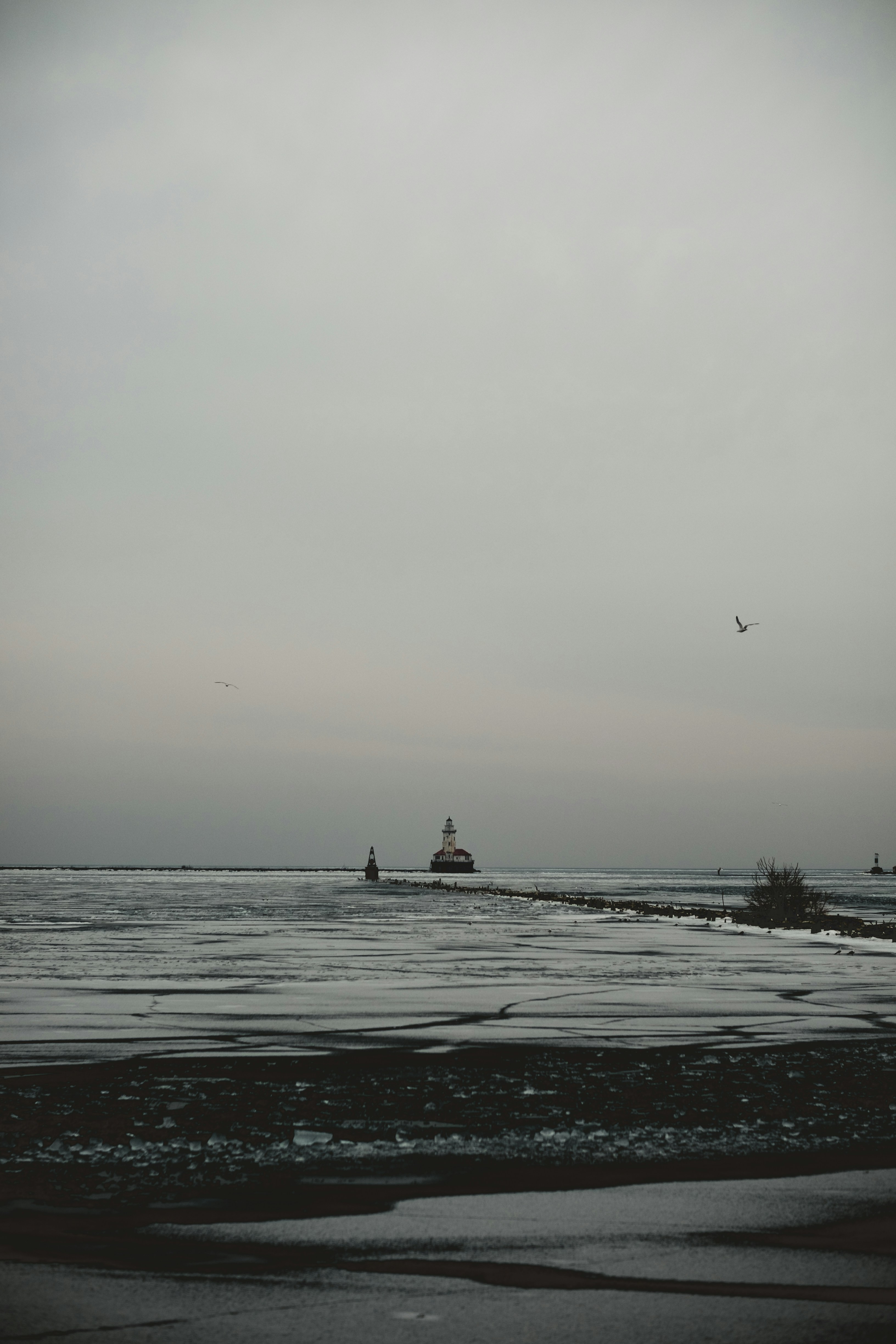 Photo by hanneskrupinski