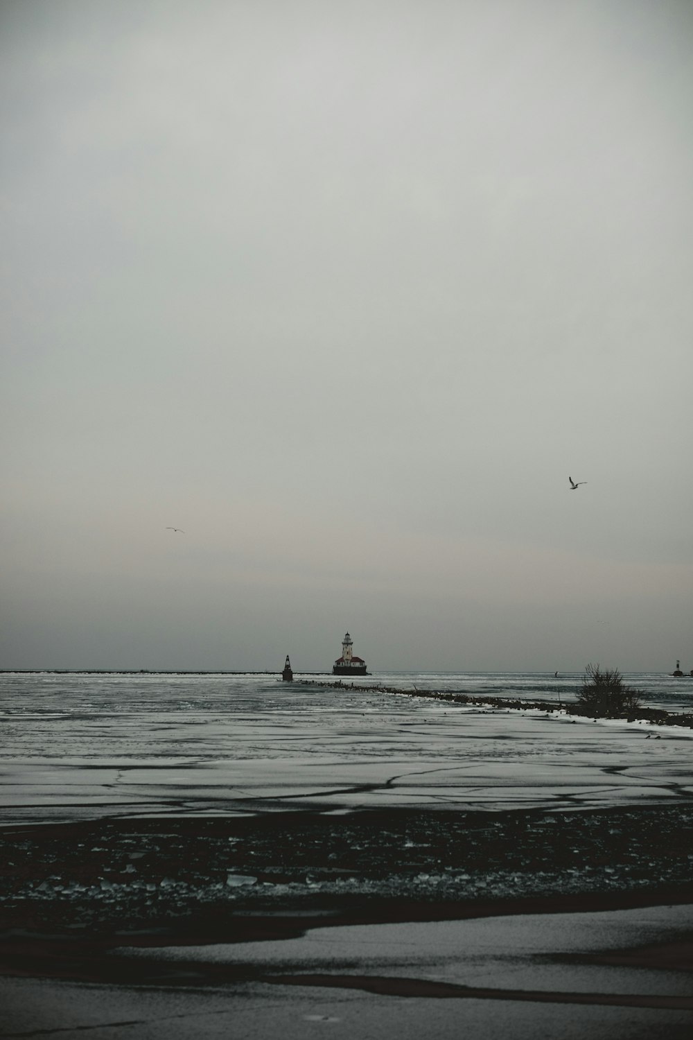 white statue on sea in grayscale photography