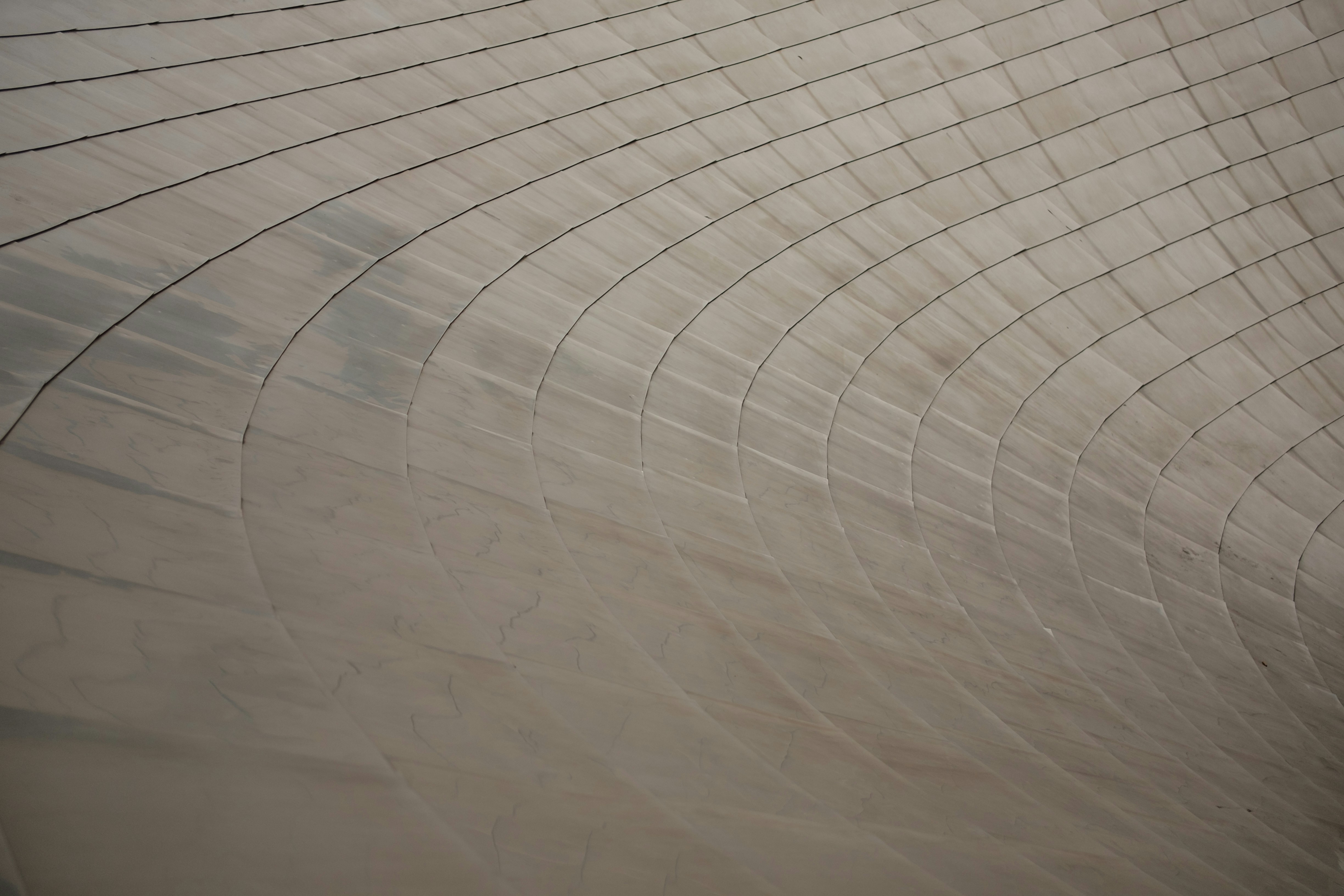 illinois zoom background