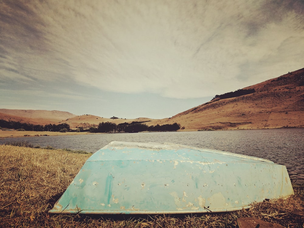 gray boat on grassy field