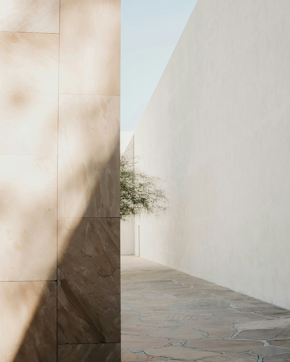 minimalist photography of a green tree along narrow pathway