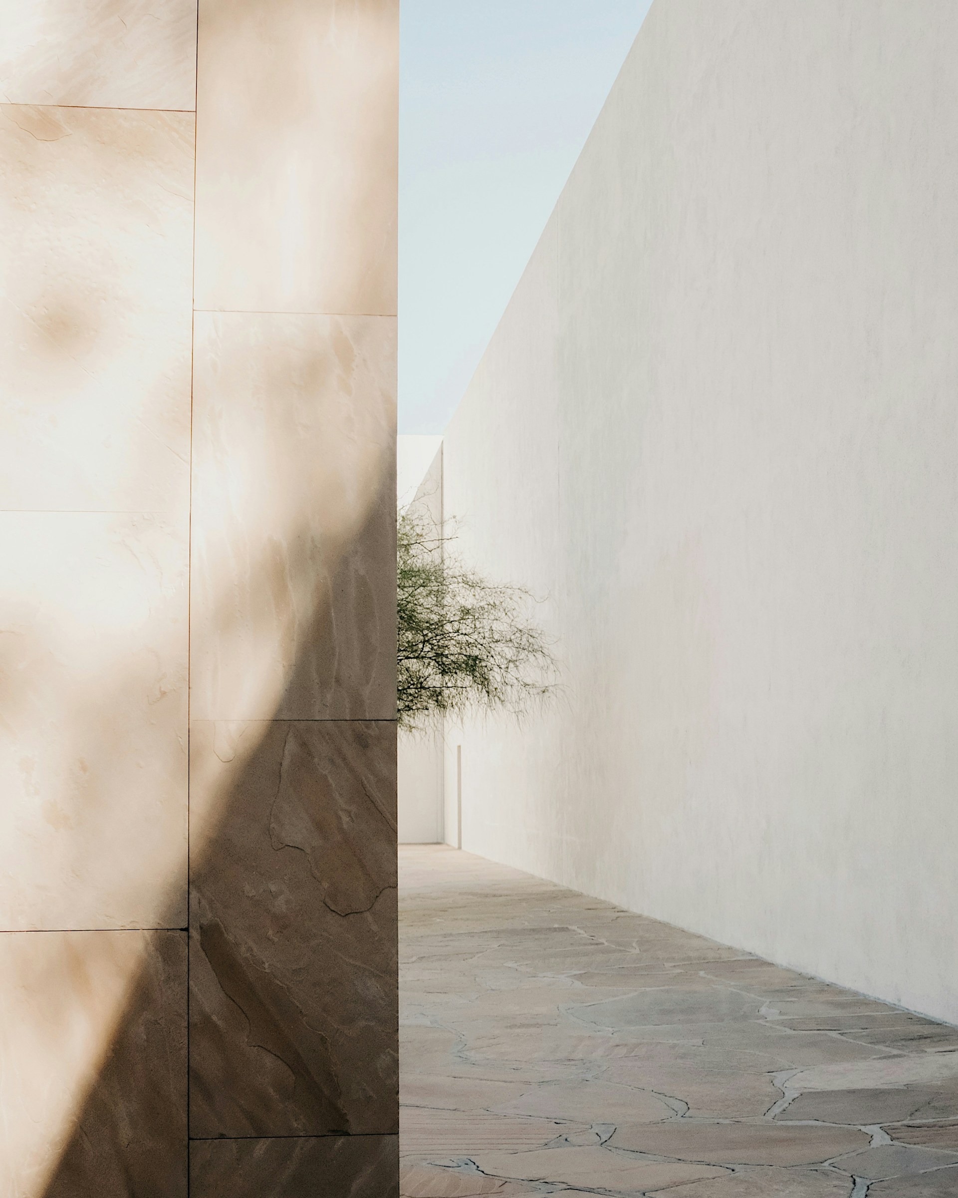 minimalist photography of a green tree along narrow pathway