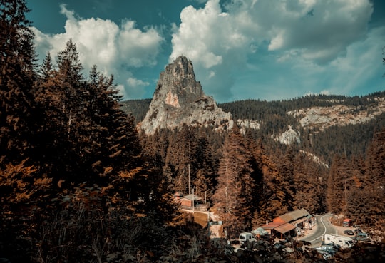 aerial photo of forest in Bicaz Romania