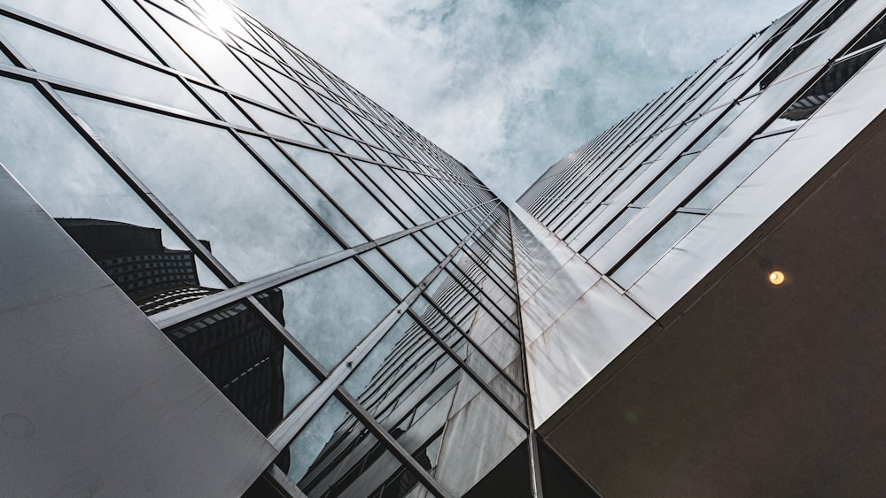 low angle photo of curtain glass wall building