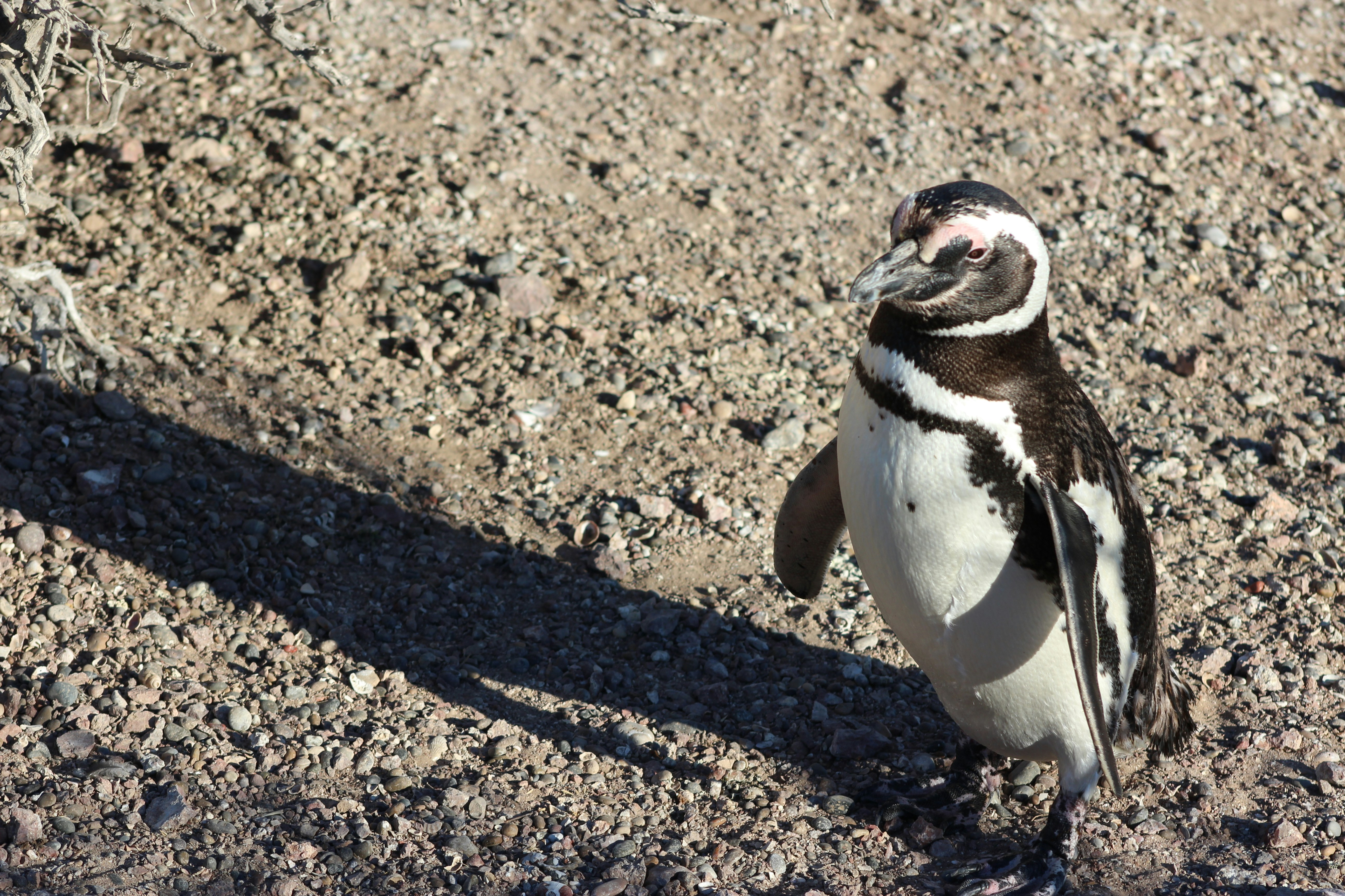 Photo by sergiomar73