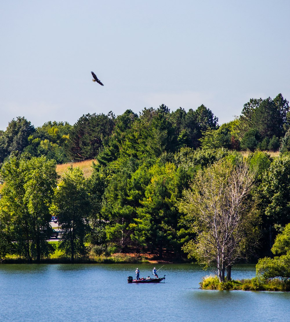 brown boat near trees