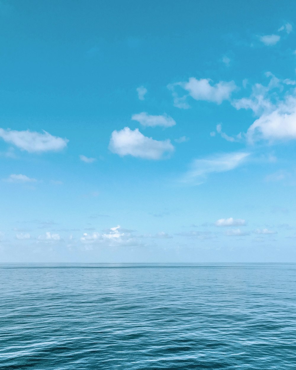 昼間の青と白の空の下に青い水域