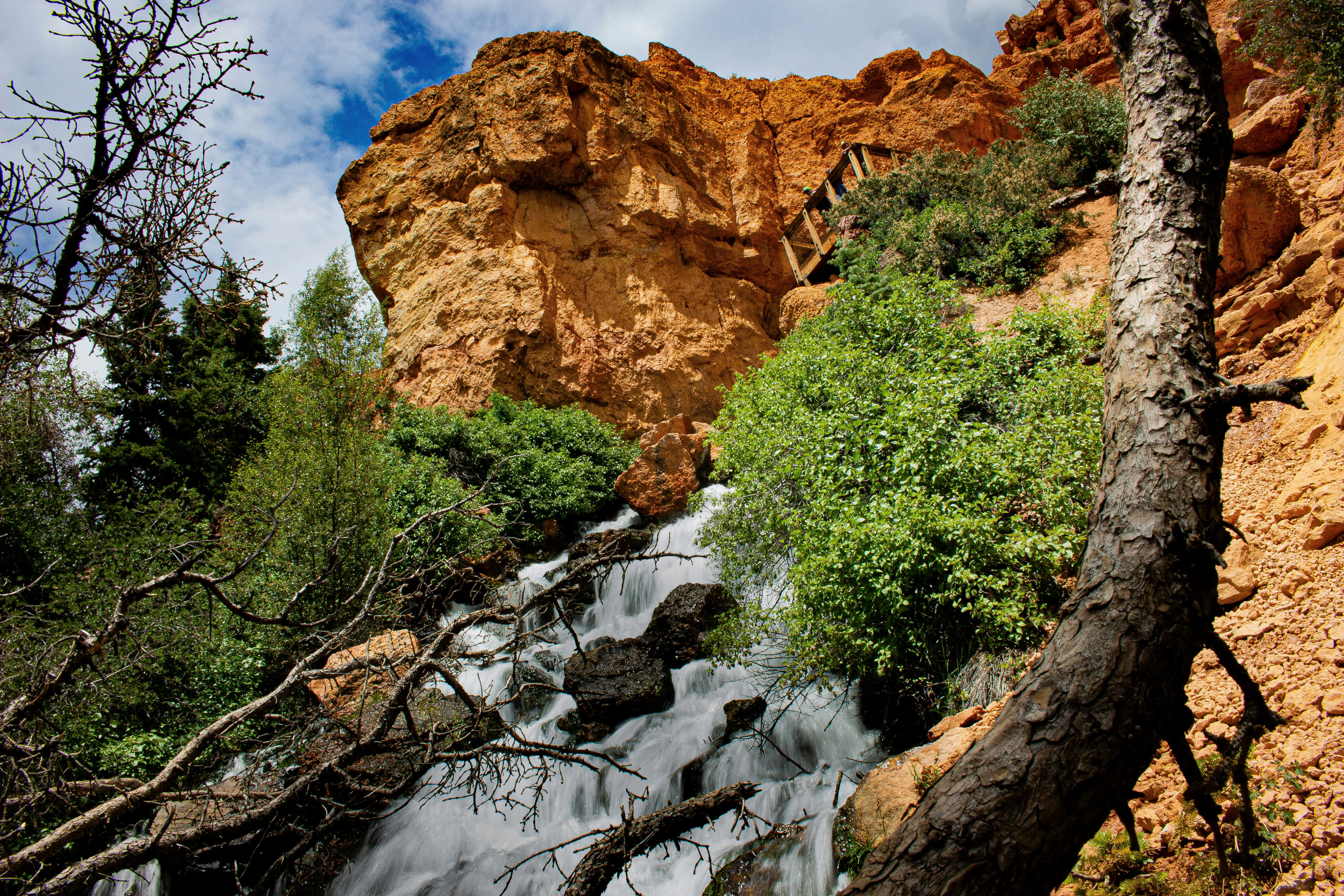 Photo by joshwalker24