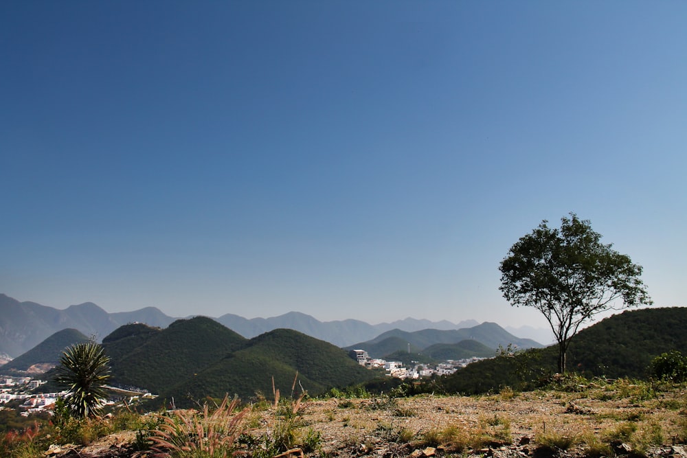 aerial photography of green field viewing mountain under blue and white sky during daytime