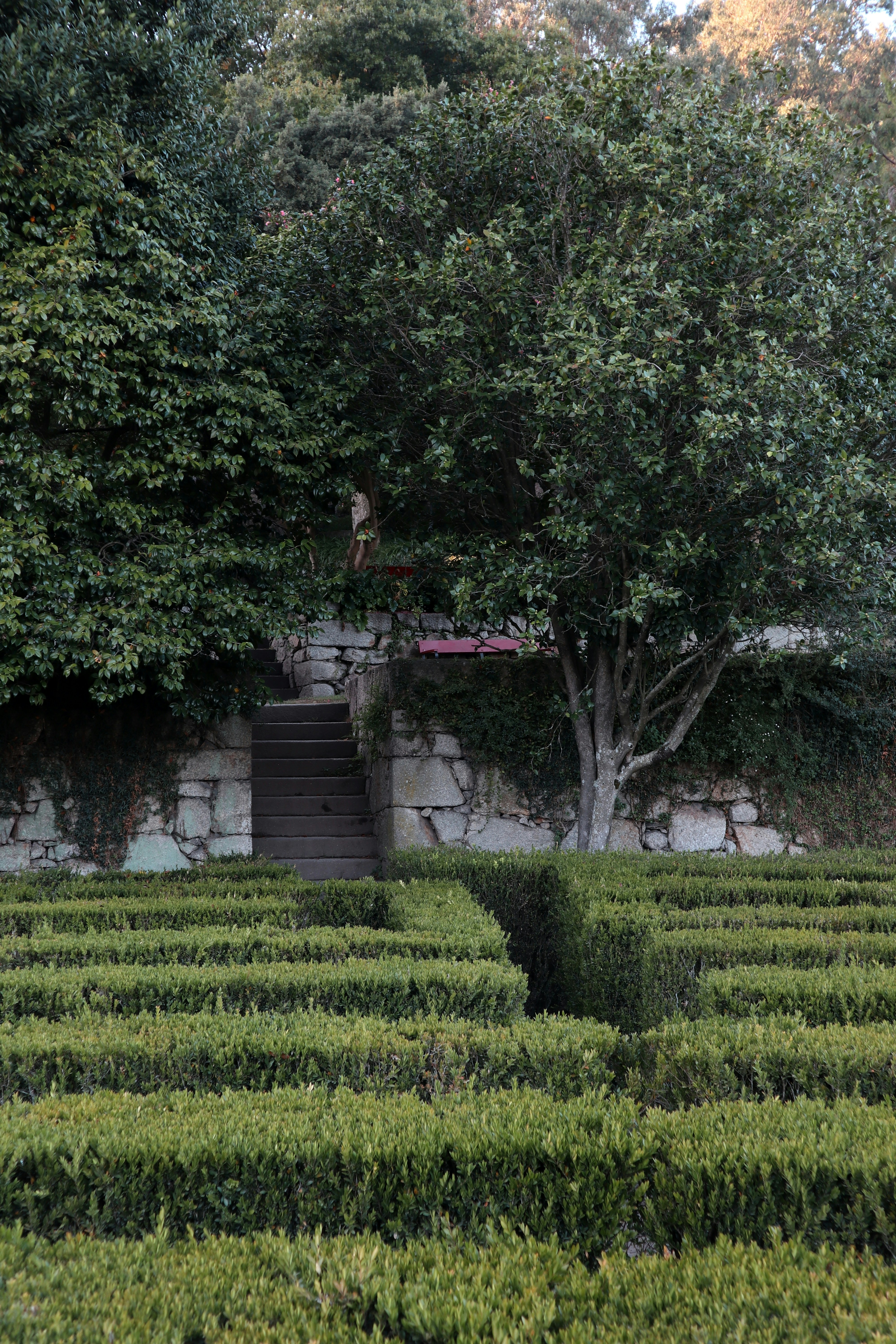 Well-maintained green landscaped garden with trimmed hedges and clean pathways, bright outdoor daylight