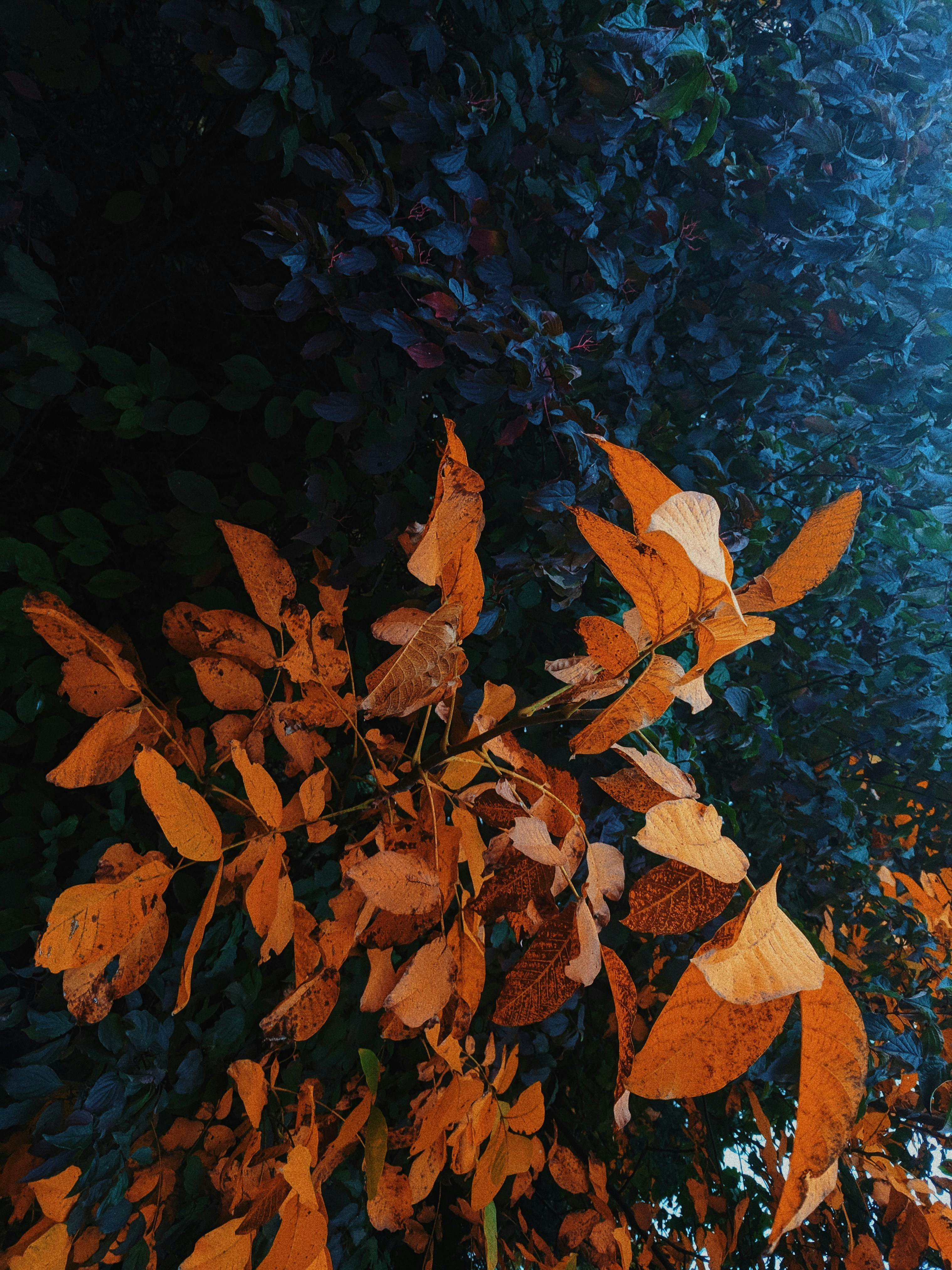 Photo by tyaglovsky
