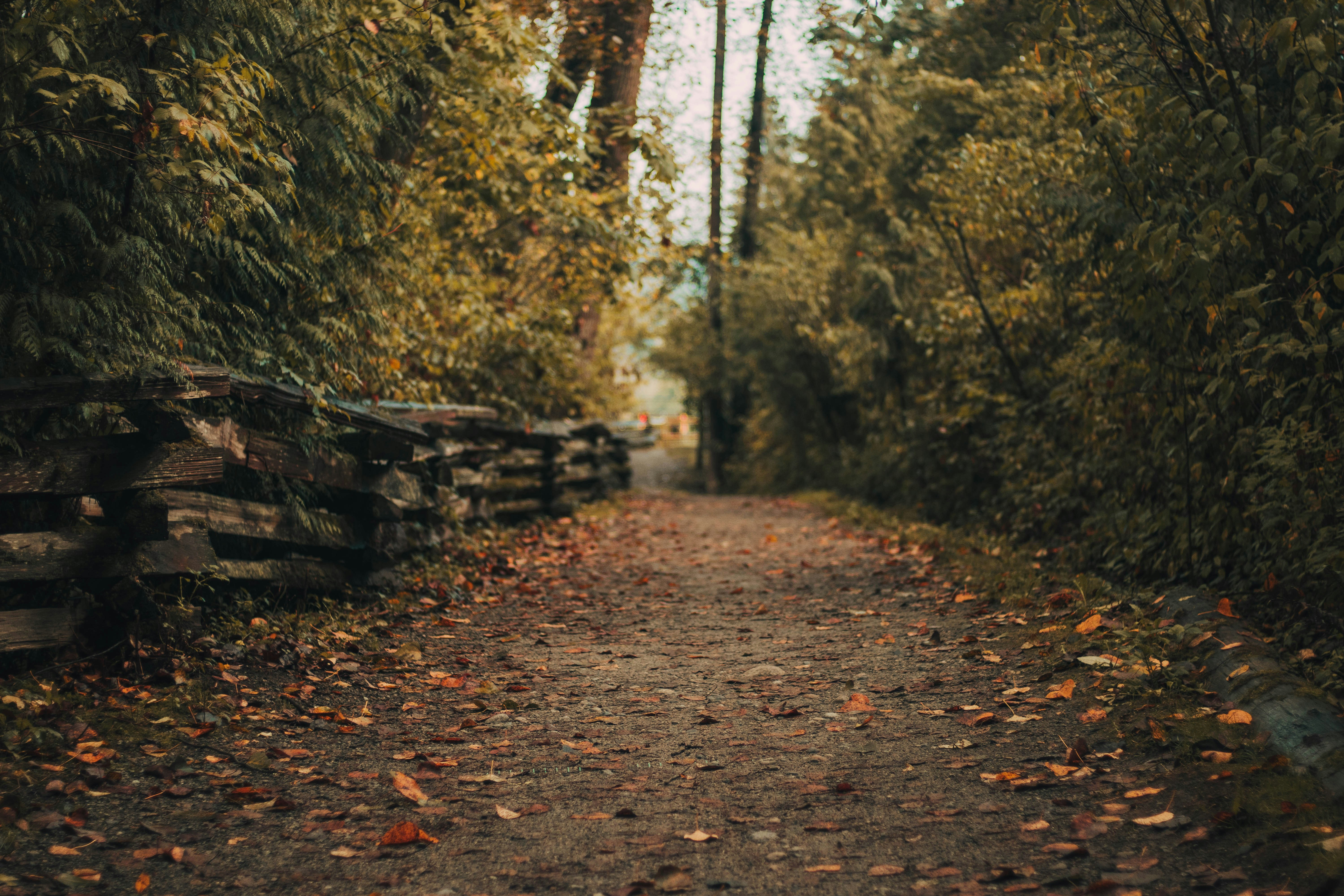 Photo by melted_epiphanies