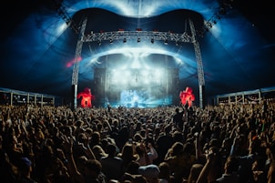 a large crowd of people at a concert