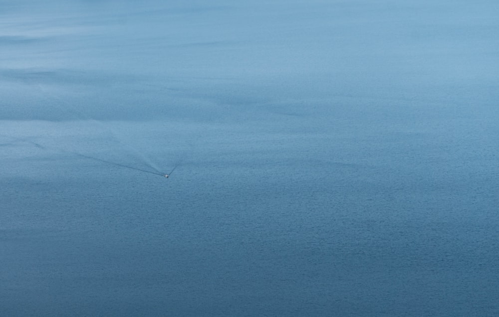 a plane flying over a body of water