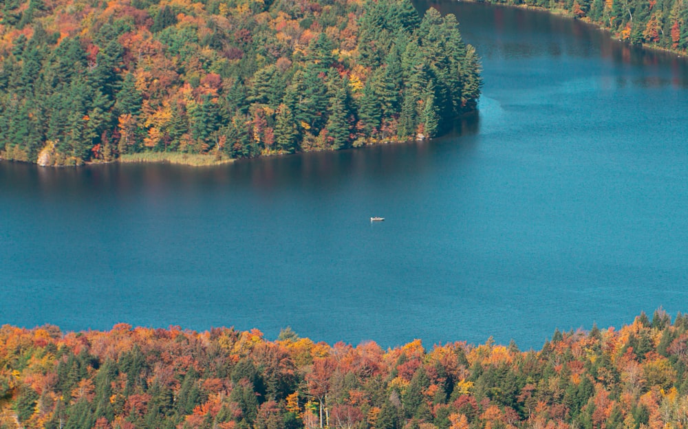 a lake surrounded by lots of trees in the fall