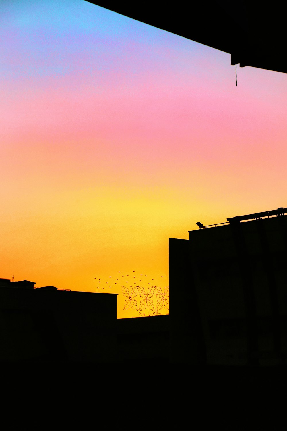 Silhouette fliegender Vögel unter dem Gebäude während der goldenen Stunde